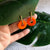 Bella Loop Earring Charms Multipack - Juicy Fruit Jewels